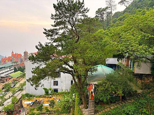 Omgeving, Chân Mây Tam Đảo (Chan May Tam Đao) in Tam Dao (Vinh Phuc)