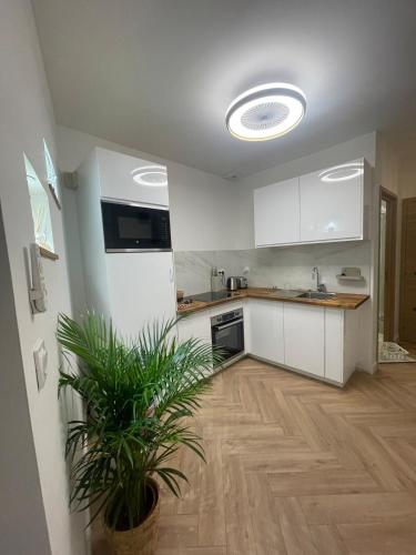 Recently renovated apartment in quiet area in heart of Old Nice, Nice