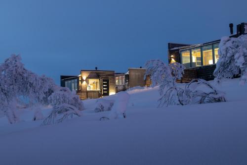 نورثرن لايتس فيليدج (Northern Lights Village) in Inari