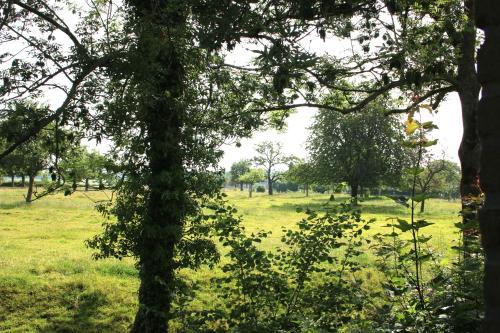 Bed en Breakfast Reijmerstok in Reijmerstok