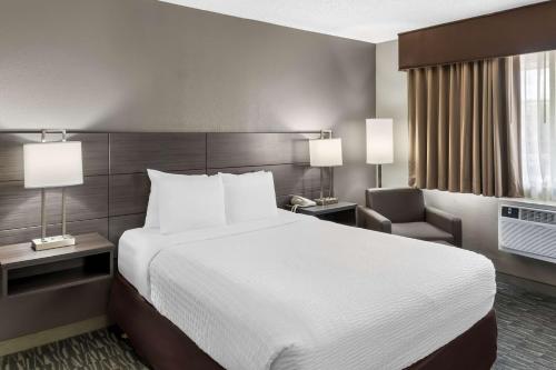 1 queen bed