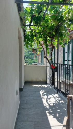 Балкон, Selice 9 B&B in Торторелла