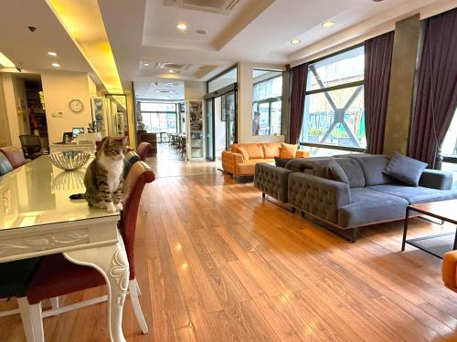 Hotellino Istanbul, Istanbul (fotografie 3)