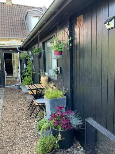 Udsigt, Spiced Bed&Breakfast in Nykøbing Falster