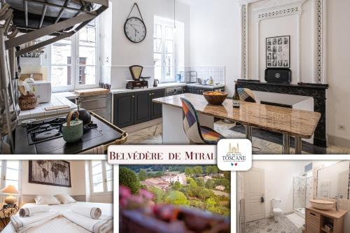 Belvédère de Montmiral gîte à louer Castelnau-de-Montmiral