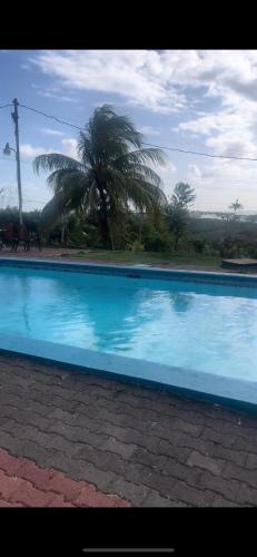 Botanic Garden Suite, with views of the nylon pool in Buccoo
