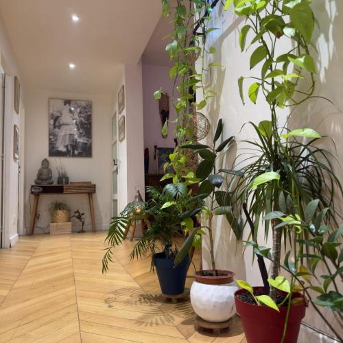 Magnifique appartement proche du centre
