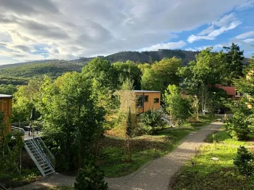 Discover The Harz National Park From A Tree House in Ilsenburg, Deutschland