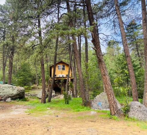 Kari Hillcabins