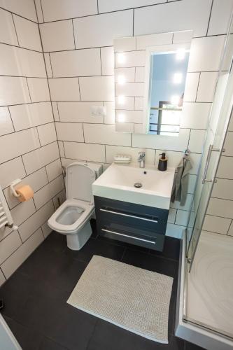 CABANA BERNER stațiunea Mogoșa