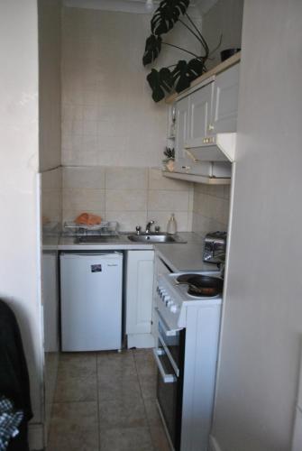 Cosy flat located on town, Dublin (fotografie 10)