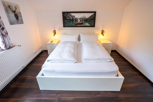 CABANA BERNER stațiunea Mogoșa