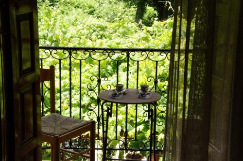 Λευκή Καμέλια, Anilio Pelion (photo 8)