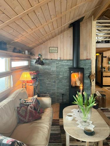 Furuly Cabin At Sangefjell, Peace And Nature