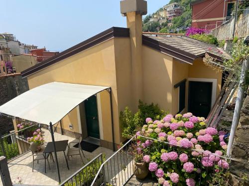 Double Room with Patio