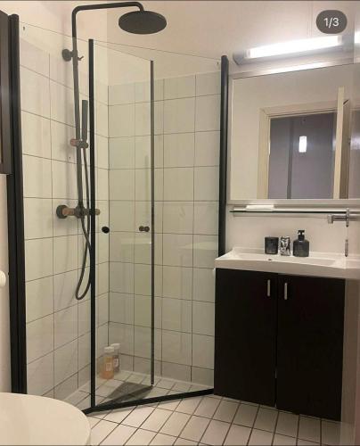 Shared apartment with private room in city center Oslo, Oslo (zdjęcie 8)