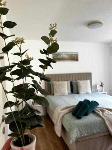 Apartman Rawda 2 in Jajce