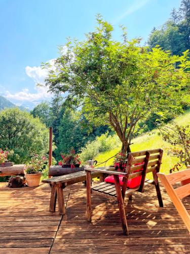 A környék, Gästehaus Milital (Gastehaus Milital) in Innertkirchen