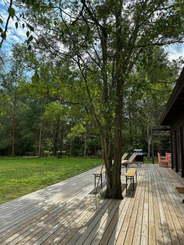 Exterior view, Authentic 60'S Summer House By Ellinge Lyng in Hojby
