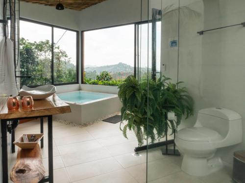 Atardeceres del Cafe