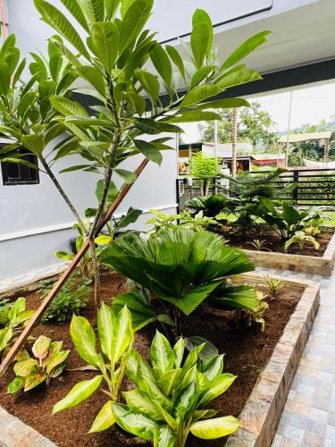 Sammys House Rental in Dulangan