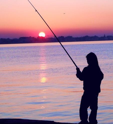 live your best experience