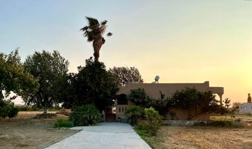 Kamara Apartments Marmari - Τιγκάκι