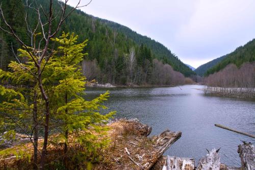 Dream Hostel Carpathians Rakhiv - image 4