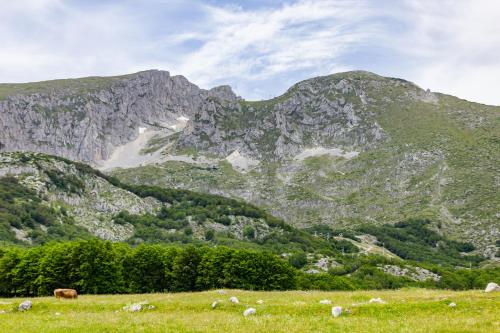 Ginger Cabins, Žabljak (Foto 9)