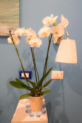 Etere in Prati Rooms, Řím (fotografie 5)