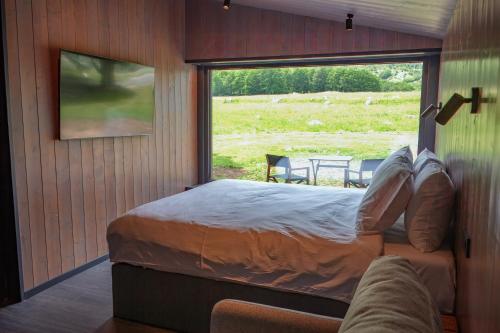 Ginger Cabins, Žabljak (Foto 3)