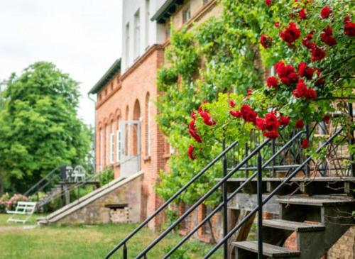 Viesnīcas āriene, Two-Storey Suite With Terrace And Garden in Alt Suhrkow