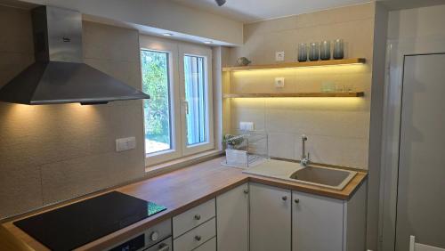 Kitchen, The Underdeck in Milovici
