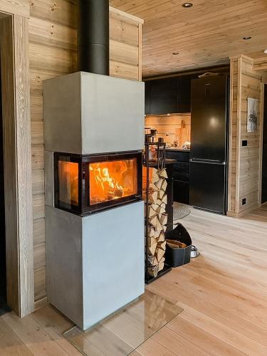 外部景觀, Cozy Modern Mountain Cabin At Kvamsfjellet in 米素賽泰爾