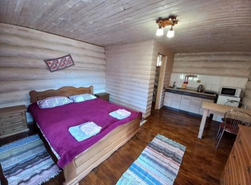 Маєток У Ґазди, Synewyrska Poljana (Foto 4)