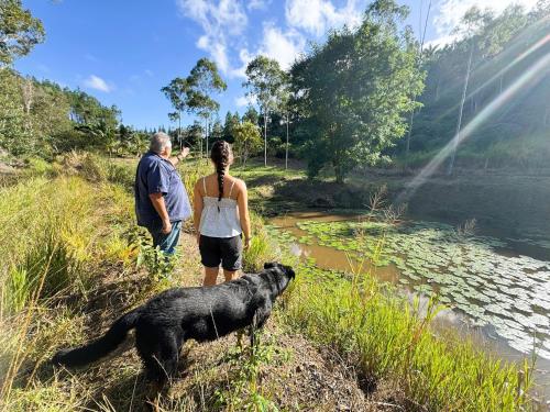 Gite Domaine de la Ferme d'Erambere lot 67 route de la Nondoue in Dumbéa