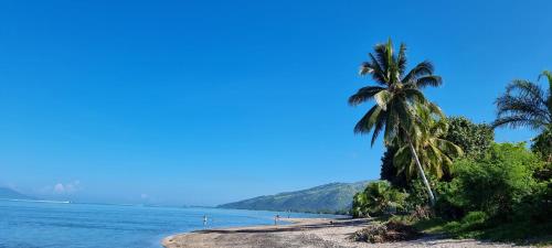 La maison Margouillat bord de mer - photo 5 - Tahiti, Polynésie