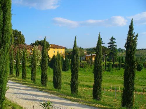 Idyllic holiday home in Vinci with swimming pool