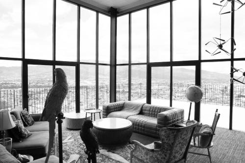 One-Bedroom Apartment image 9