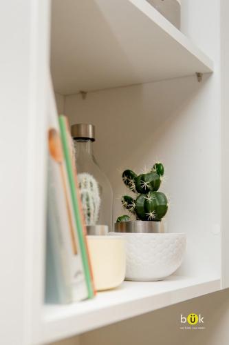 One-Bedroom Apartment image 5