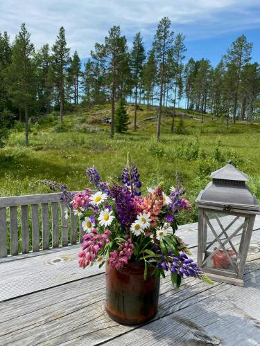 外部景觀, Cabin In Rauland Near Fishing, Hiking And Skiing in 勞蘭