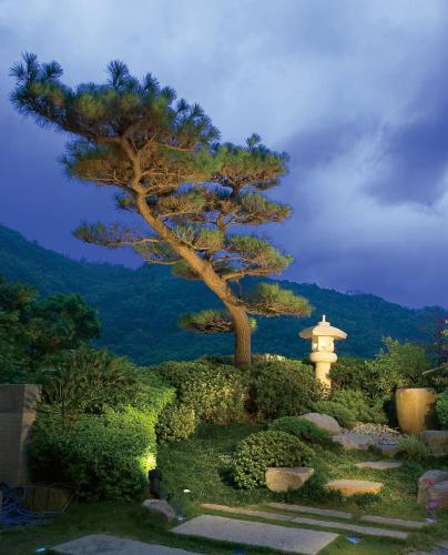 Beautiful natural surroundings