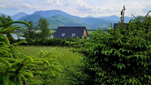 Four-Bedroom House room in Tatra Twin House