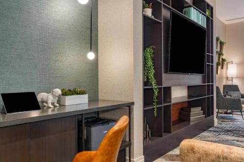 Cambria Hotel New Haven University Area - image 4