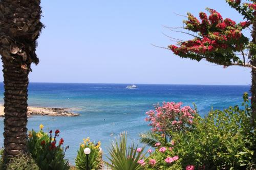 Crystal Springs Beach Hotel - image 8