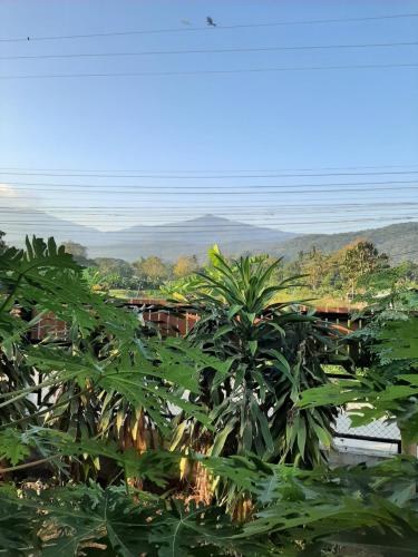 Baan Berm Family Inn - 정원
