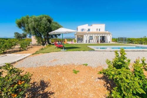 Finca ALBAMAR - image 5