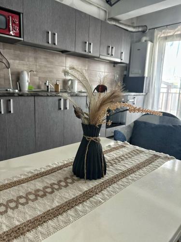 Apartament liniștit (Apartament linistit) in Floresti (Cluj)