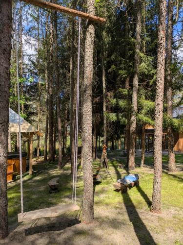 グディニャ Chatki Bernadki - Siedliska na Roztoczu 4つ星 シングルルーム レストラン