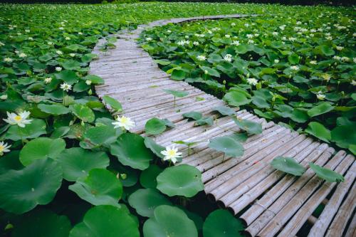 Halise Sanctuary Ninh Binh – Ninh Binh